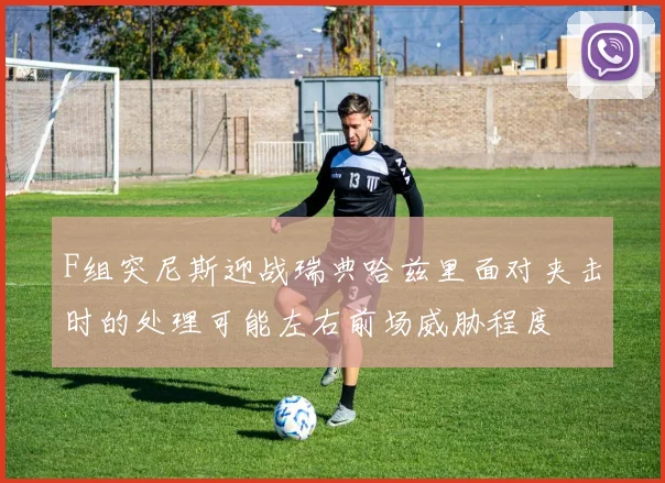 F组突尼斯迎战瑞典哈兹里面对夹击时的处理可能左右前场威胁程度