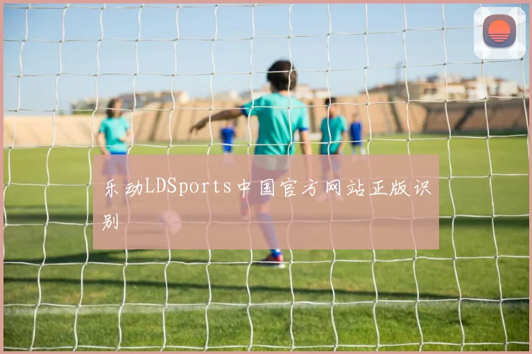 乐动LDSports中国官方网站正版识别