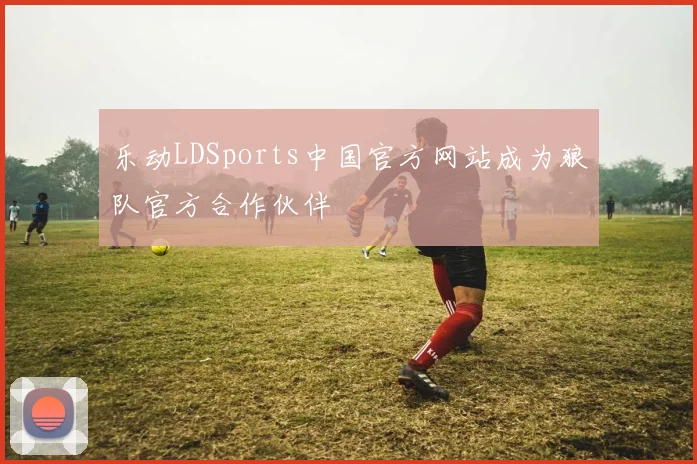 乐动LDSports中国官方网站成为狼队官方合作伙伴