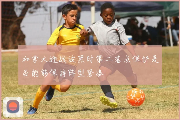 加拿大迎战波黑时第二落点保护是否能够保持阵型紧凑